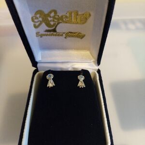 Silver and Blue Earrings